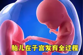 3D动画：胎儿在子宫中的发育全过程，很震撼，生命太奇妙了！视频封面