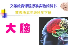 小学科学苏教2001课标版五年级下册五单元 大脑_视频课件视频封面
