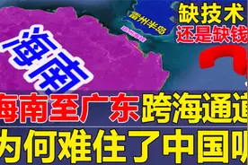 狂砸千亿后，广东海南跨海通道为何突然停工？我国技术不行？视频封面