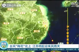 台风“梅花”北上，江苏迎来风雨天视频封面