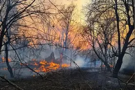 切尔诺贝利禁区爆发森林火灾 中心区辐射值超标视频封面