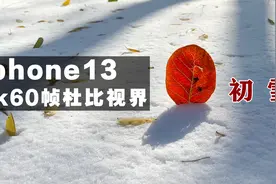 iphone13pro4k60帧原视频素材，使用杜比视界手持拍摄的初雪视频封面