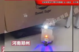 鼠届智商天花板！仓鼠骑电动小摩托转圈圈，主人直言：太可爱了视频封面