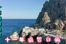 十年网络热歌串烧 《滴答》《十一年》《白狐》视频封面