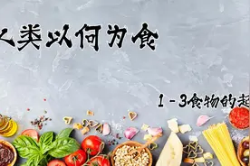【纪录片】人类以何为食1-3食物的起源【480P】【转载】视频封面