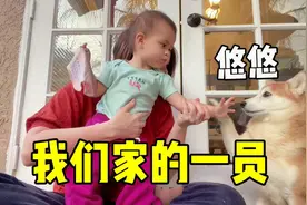 都说有孩子不能养宠物，悠悠承载了老公对我的感情，听听它的故事视频封面