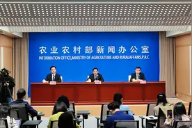 农业农村部：从2023年开始编制发布国家农作物优良品种推广目录视频封面