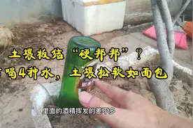 土壤板结“硬邦邦”？常喝4种水，土壤松软如面包视频封面