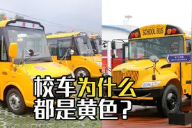 为什么美国的校车都是黄色的？我国的是什么颜色？看完长见识了