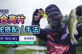 【路亚实战】“陌生水域神器”—复合亮片，让你钓到手软！视频封面