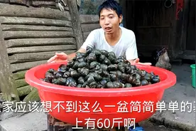 奇怪订单，顾客只要母螺，说怀孕的人不能吃公螺，这是真的吗？视频封面