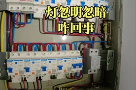 业主家灯忽明忽暗，上演现实版“鬼片”，原来是它惹的祸视频封面