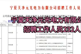 宁夏天净元光电力有限公司招聘工作人员232人视频封面