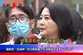 蓝营“女战神”王鸿薇势不可挡，成功进军台当局立法机构视频封面