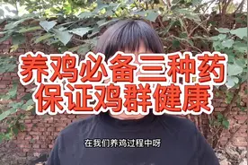 不管养什么品种的鸡，常备这三种药，轻松养好鸡效益翻倍视频封面