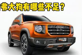 哈弗大狗小毛病不断？是操作失误还是真不行？
