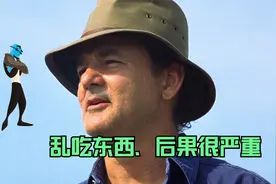 人体感染病毒后，白细胞大战病毒，看完再也不敢乱吃东西了视频封面