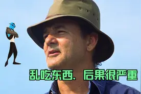 人体感染病毒后，白细胞大战病毒，看完再也不敢乱吃东西了视频封面