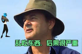 人体感染病毒后，白细胞大战病毒，看完再也不敢乱吃东西了视频封面