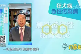 身上有伤口，喂流浪猫狗时要警惕，不注意或引发狂犬病|生活圈视频封面