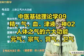 精气血津液神02人体之气的六大功能，元气、宗气、营气、卫气概念视频封面