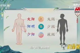 六经辨证将外感病分为六大类，同时分表、里、半表半里丨健康之路视频封面