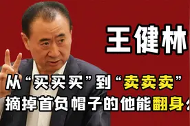 王健林3年还清6000亿，重回到胡润富豪榜，但儿子王思聪又出问题视频封面