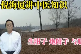 倪海厦讲解生附子炮附子以及脏结仅供参考交流视频封面