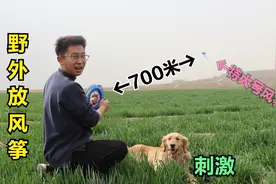 小伙去野外放风筝，特大号风筝加七百米线放飞后，金毛大喊真刺激视频封面