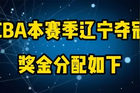 CBA本赛季辽宁夺冠，奖金分配如下，你心中的奖金是怎么分配的呢视频封面