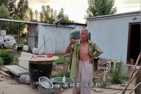 农村大爷教你如何种地挣大钱，投资660块钱，一亩地能挣6万视频封面