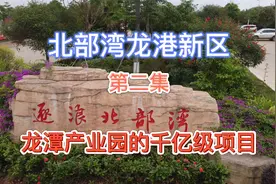逐浪北部湾玉林龙港新区，龙潭挑战多个千亿项目，玉林如虎添翼视频封面