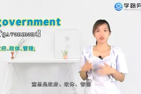 government是什么意思
