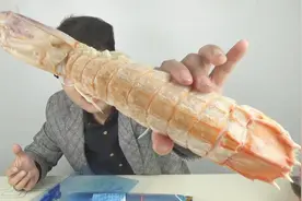 69元1只的泰国巨型皮皮虾，加火锅底料爆炒，几口吞掉一碗米饭！视频封面