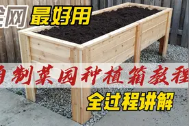 自制菜园种植箱教程#菜园#木工diy #制作过程 #小院改造  #花箱视频封面