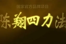 《陈翔四力法》书法速成法视频封面