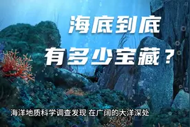 海底到底有多少宝藏？视频封面