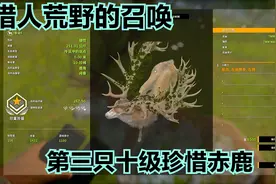 猎人荒野的召唤：第三只十级珍惜赤鹿，多人模式刷图就是快视频封面