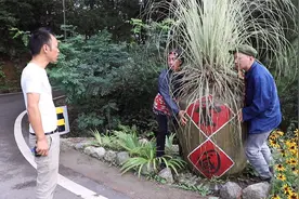 搞笑段子：老两口外出旅游趣事视频封面