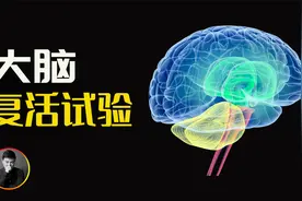 死亡就是生命的终点？科学实验表明：科技或许可以重生人类视频封面