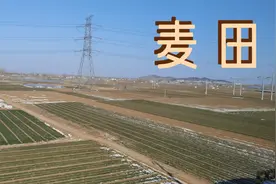 济南西站，坐火车回淄博视频封面