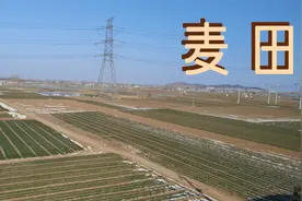 济南西站，坐火车回淄博视频封面