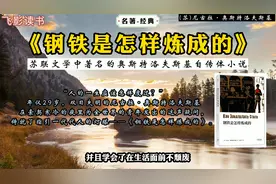 《钢铁是怎样炼成的》：“人的一生应该怎样度过？”经典名著视频封面