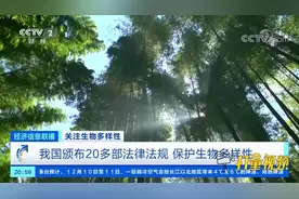 我国颁布20多部法律法规，保护生物多样性|经济信息联播视频封面