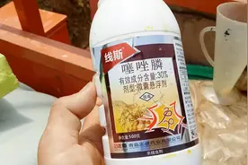 柑橘长了根结线虫有什么现象？需要打什么药？让农民阿财来告诉你视频封面