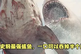 史前最强鲨鱼，一口一个小朋友，真正的海洋霸主视频封面