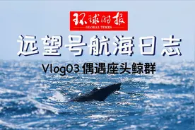 随远望出航——环球时报的远望6号船航行Vlog03：偶遇座头鲸群视频封面