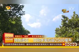 男子下腹胀痛不已，原是结石在“作怪”视频封面