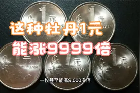 1992年的牡丹1元，背逆的能涨9999倍，你能找到吗？视频封面
