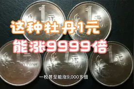 1992年的牡丹1元，背逆的能涨9999倍，你能找到吗？视频封面